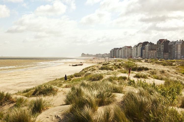 Real estate agency We Invest in West Flanders